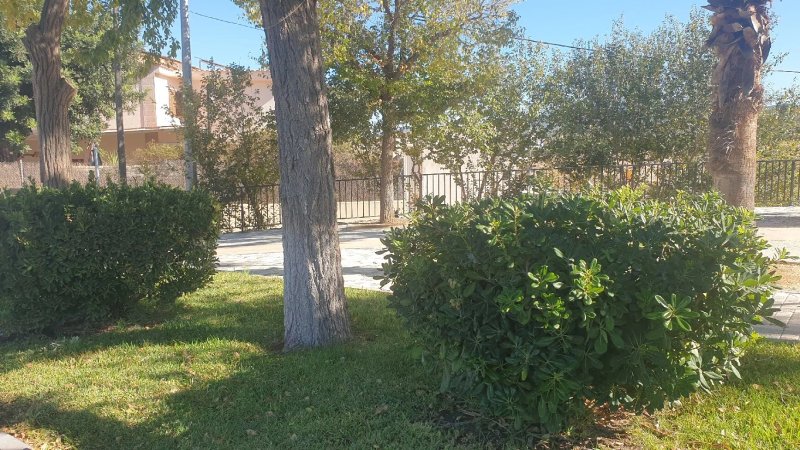 Jardin Javier Hernandez Caro