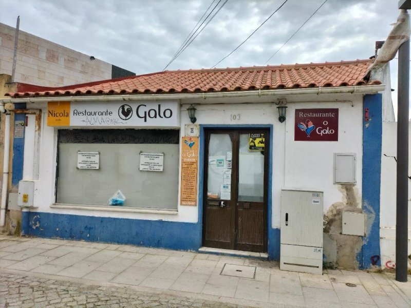 O Galo