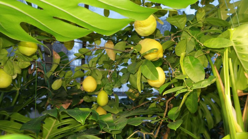 Restauracja Skarpa