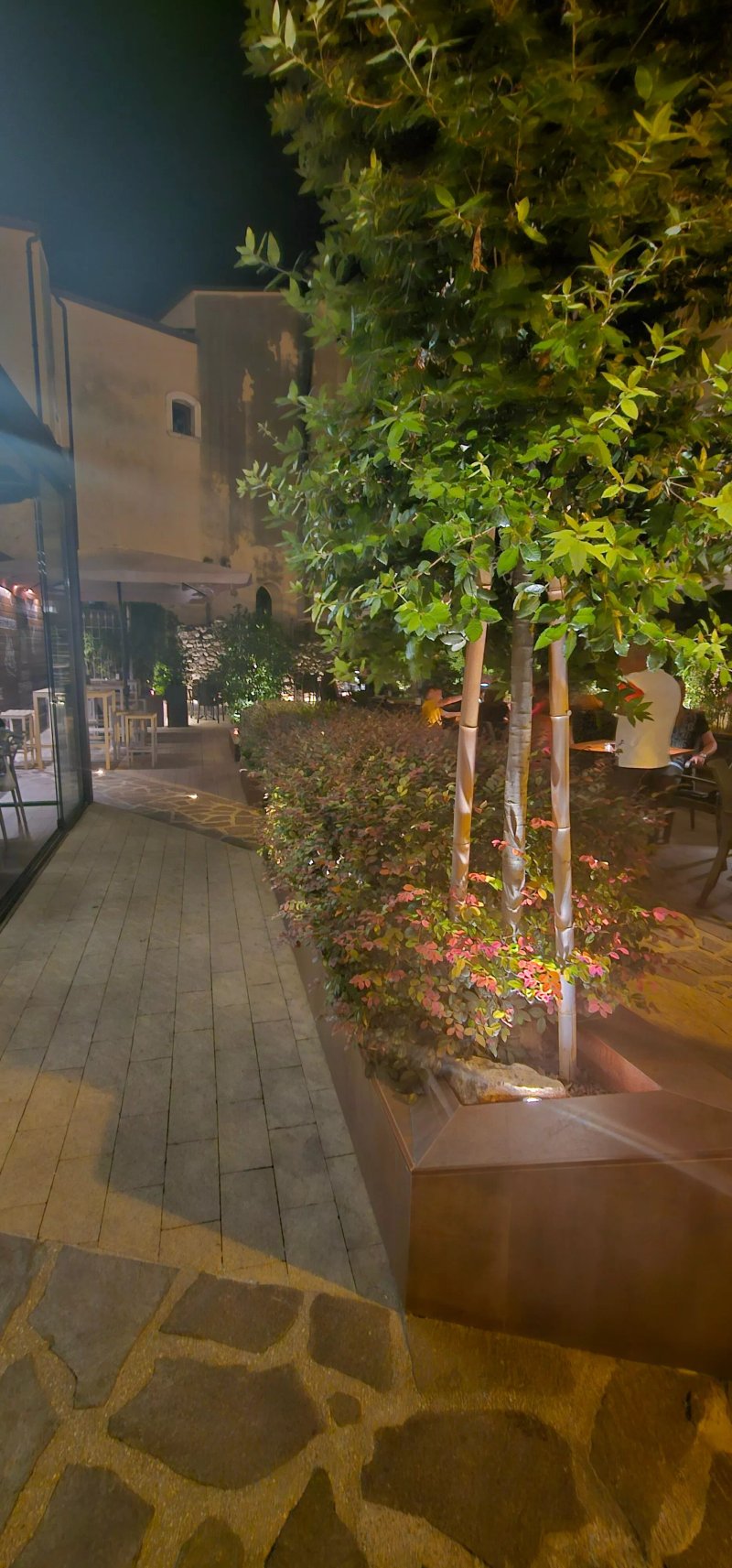 Green Cafe Wine Bar E Caffetteria