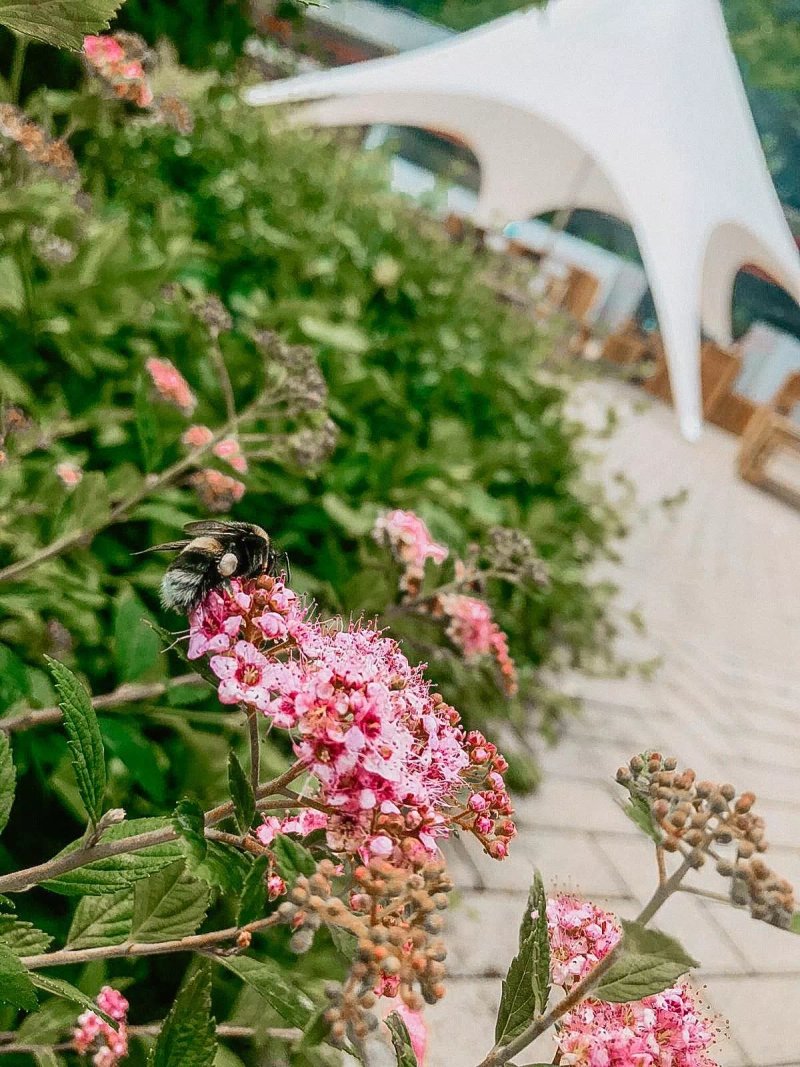 Gerns Garden - Poolbar & Restaurant