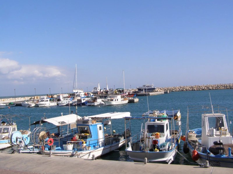 Zygi Marina