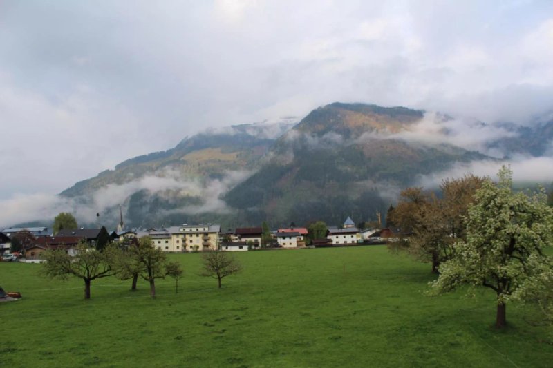 Schloss Saalhof