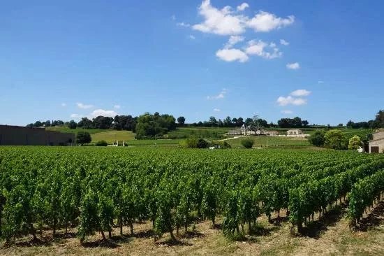 Chateau Mauvinon