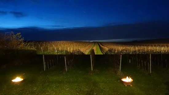 Weingut Franz & Christine Netzl