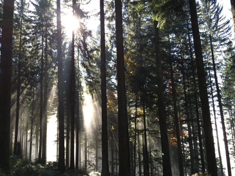 Zugerberg