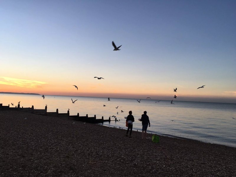 Ossie's Best Fish and Chips Tankerton