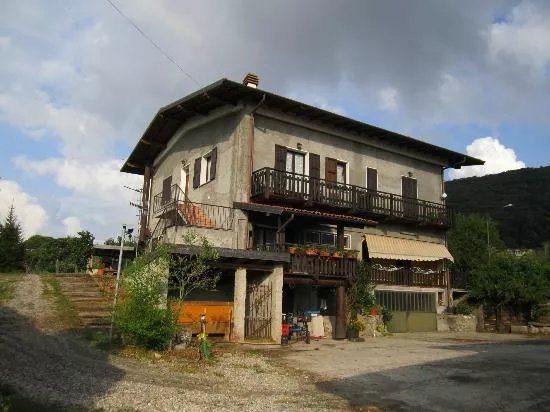 La Betulla