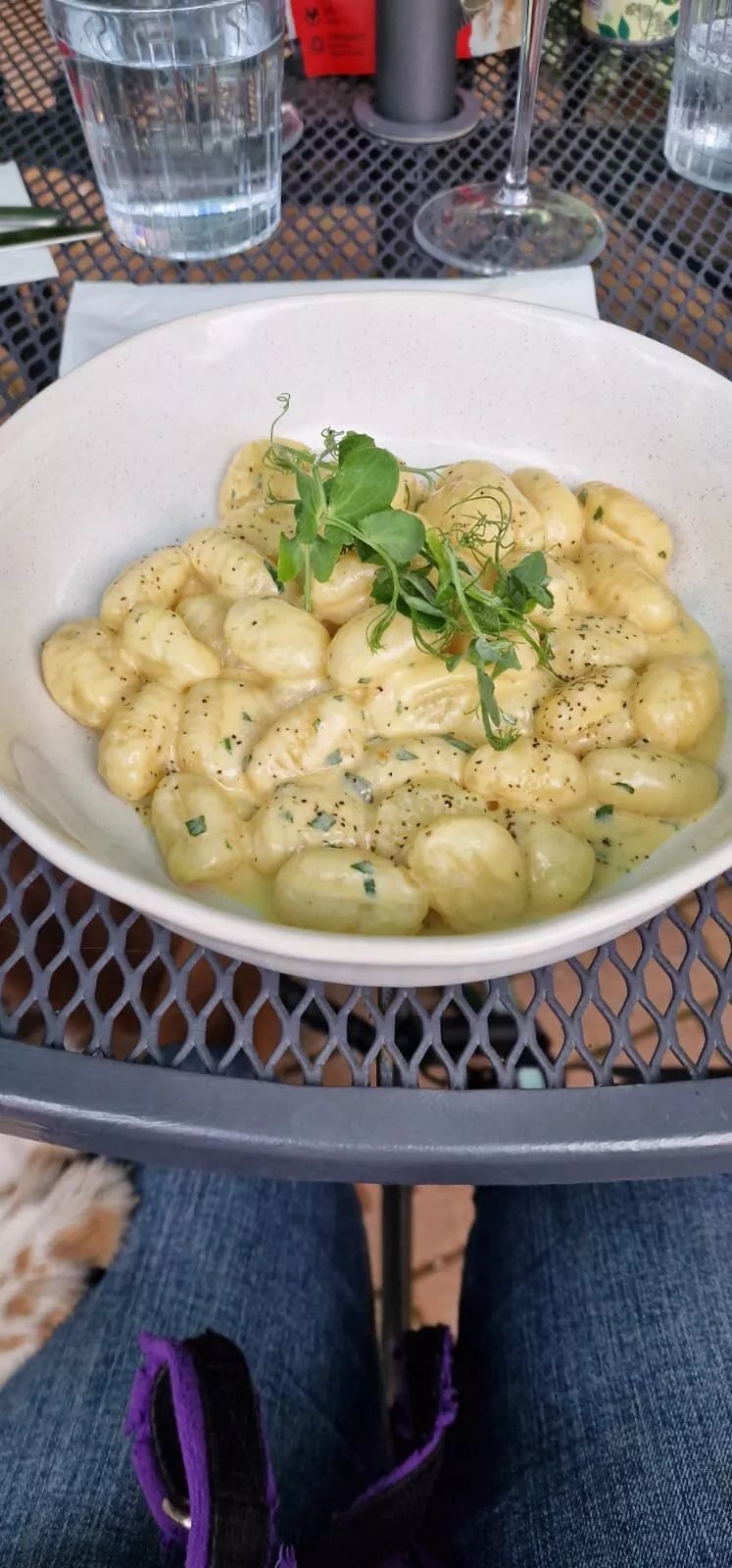 Piatto Bistro