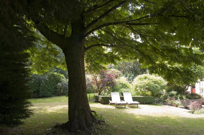Côté Jardin Bed & Breakfast