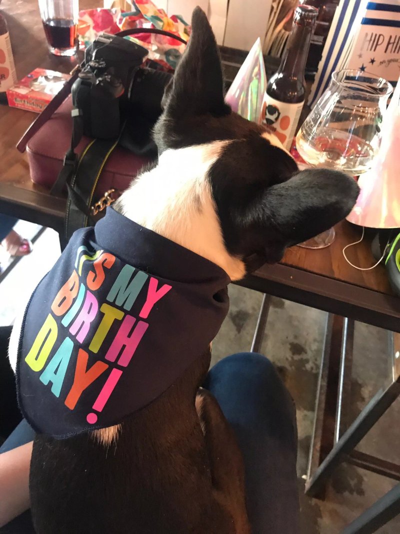 Brewdog Stirling