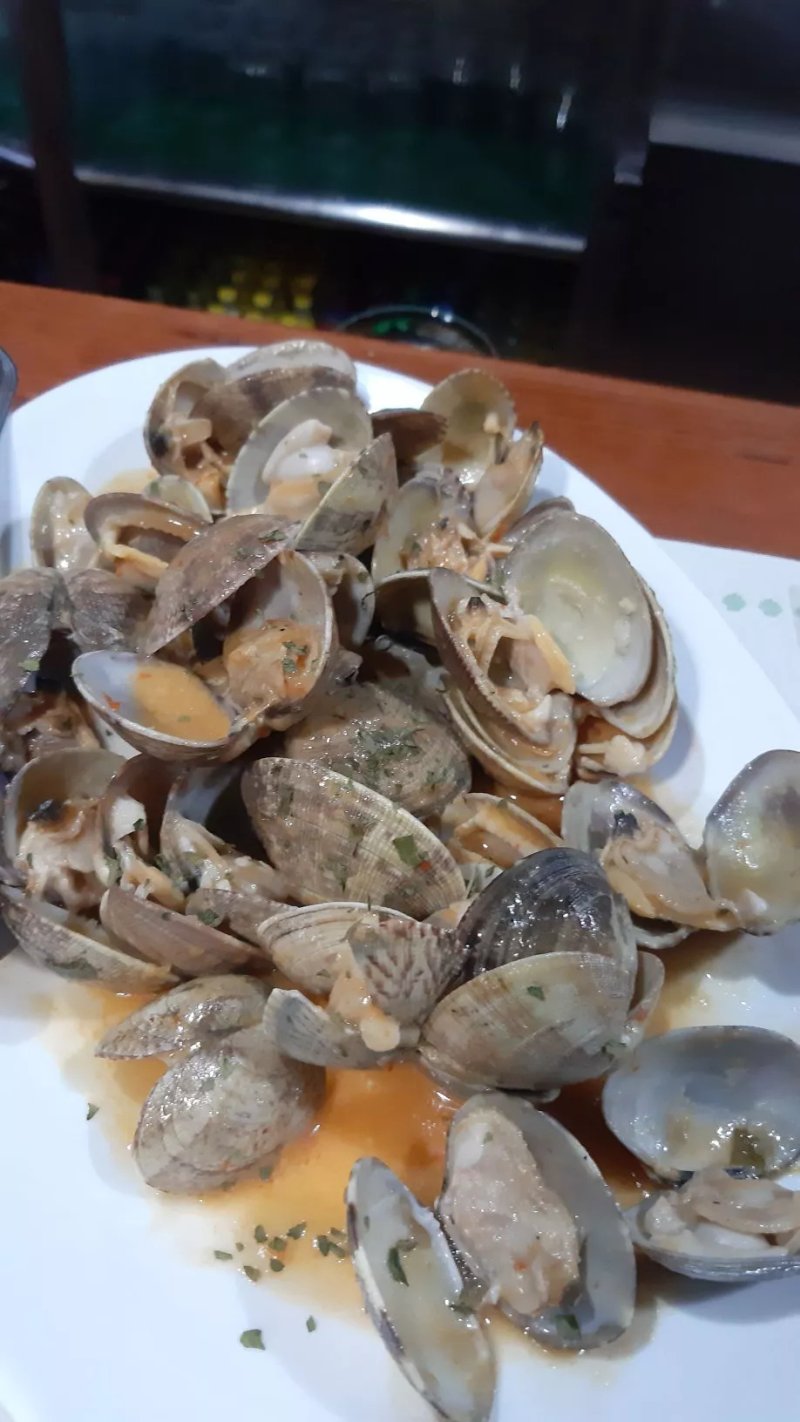 Carrumeiro