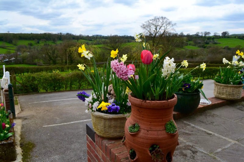 Millfields Bed & Breakfast