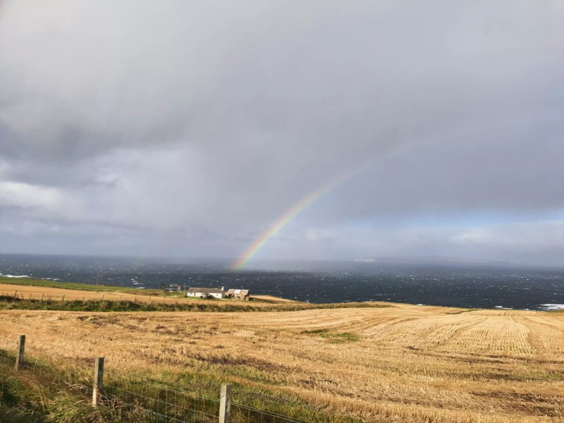 The Crofter's Snug - Pods And Pitches