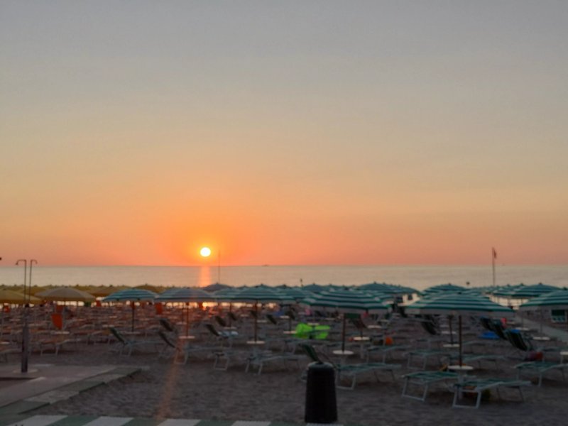 Camping & Village Eucaliptus