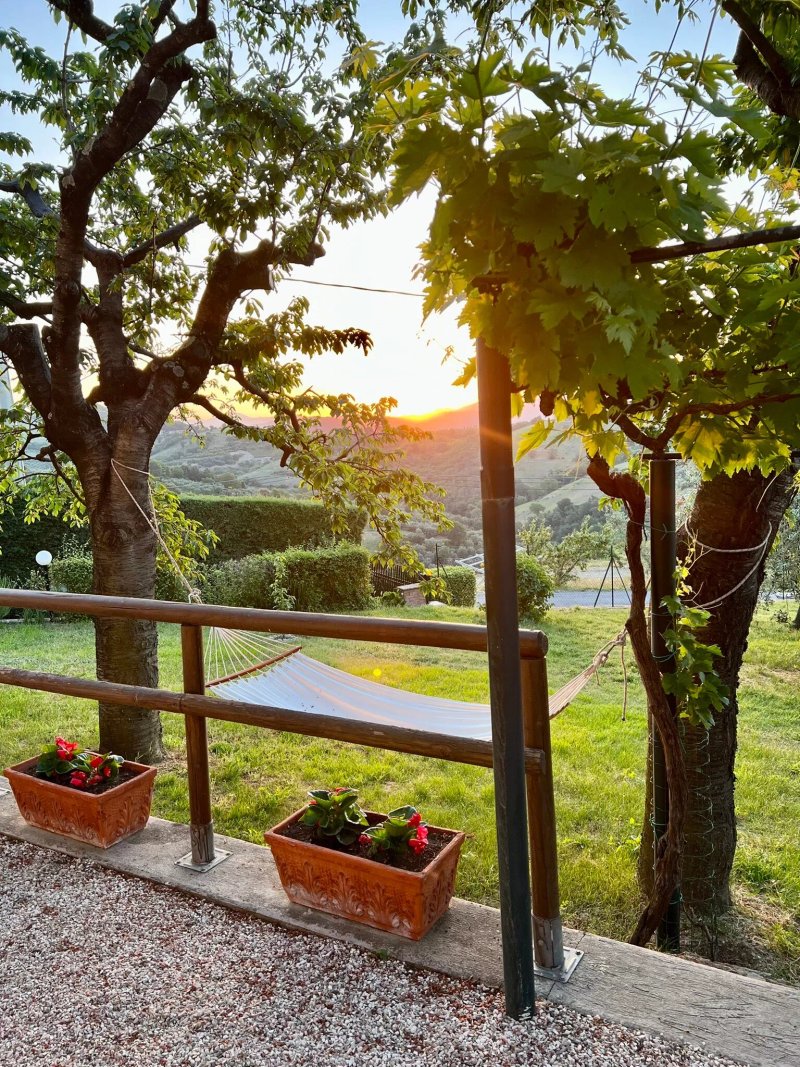 B&B Le Terrazze