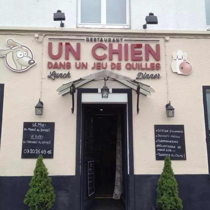 Un Chien Dans un Jeu de Quilles