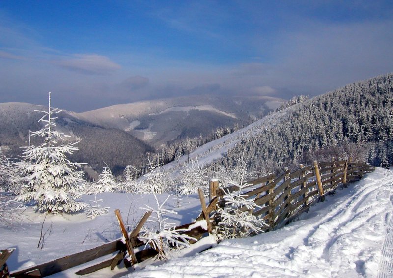 Holiday Home Dolni Morava