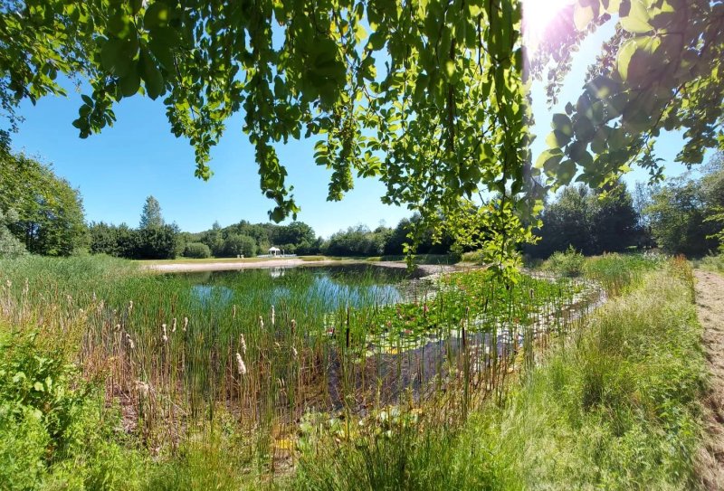 Landgoed De Biestheuvel