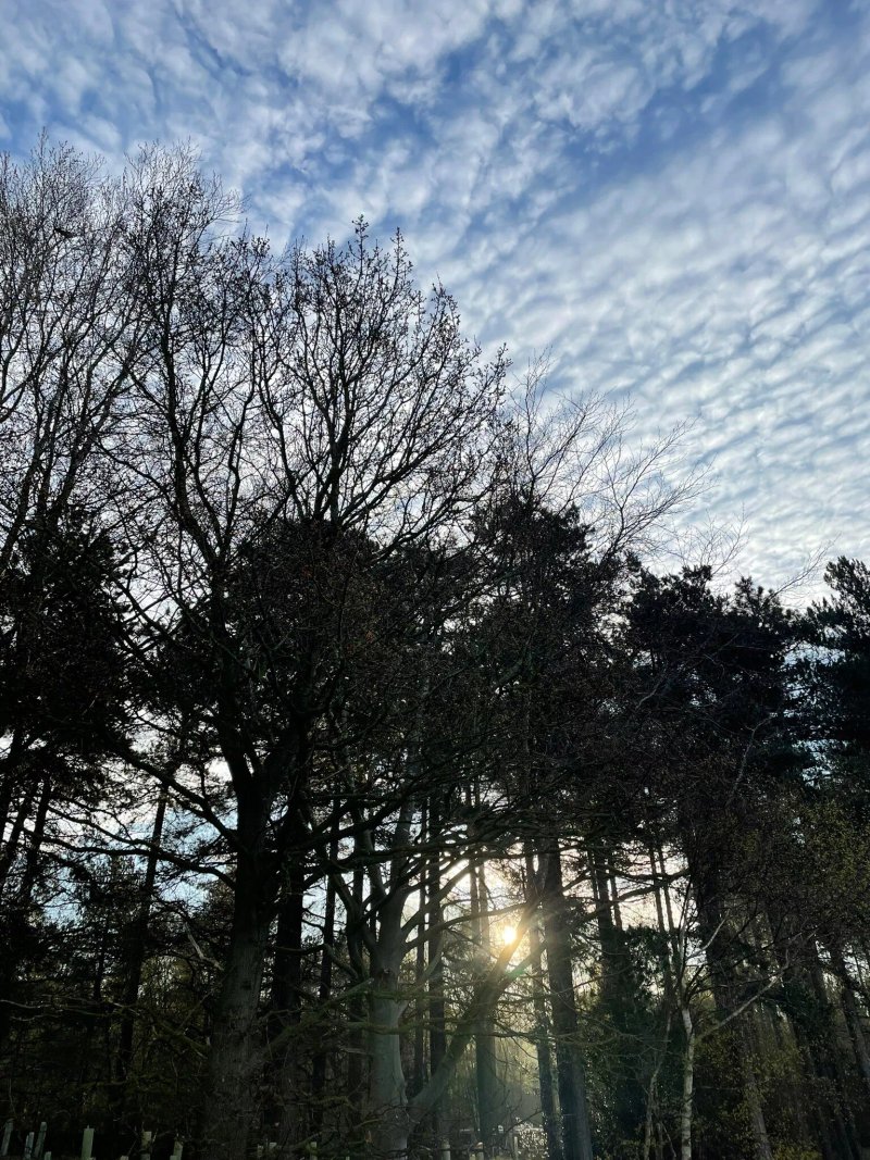 Sherwood Pines Campsite