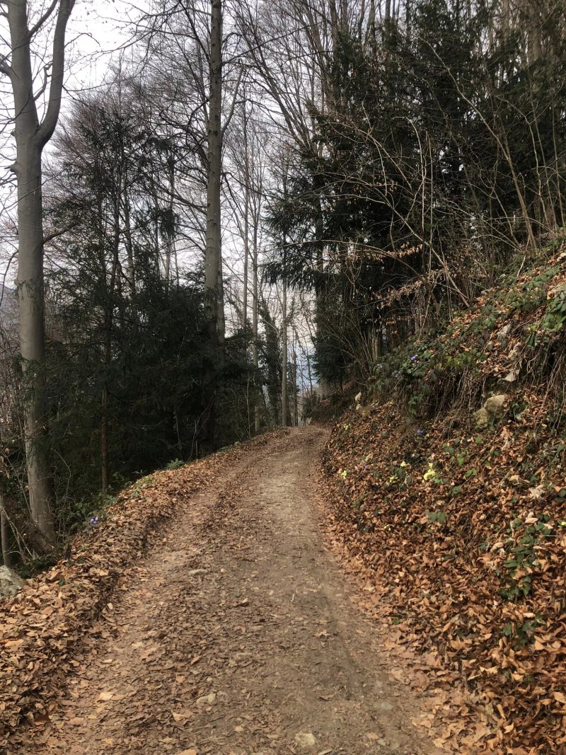 Agriturismo Ca' di Franchi