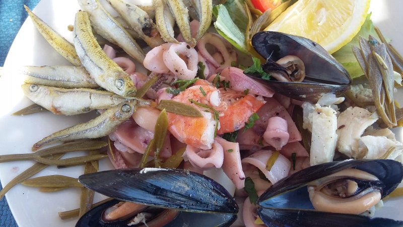 Lupo Di Mare
