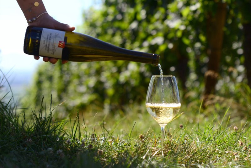 Domaine Saint Remy