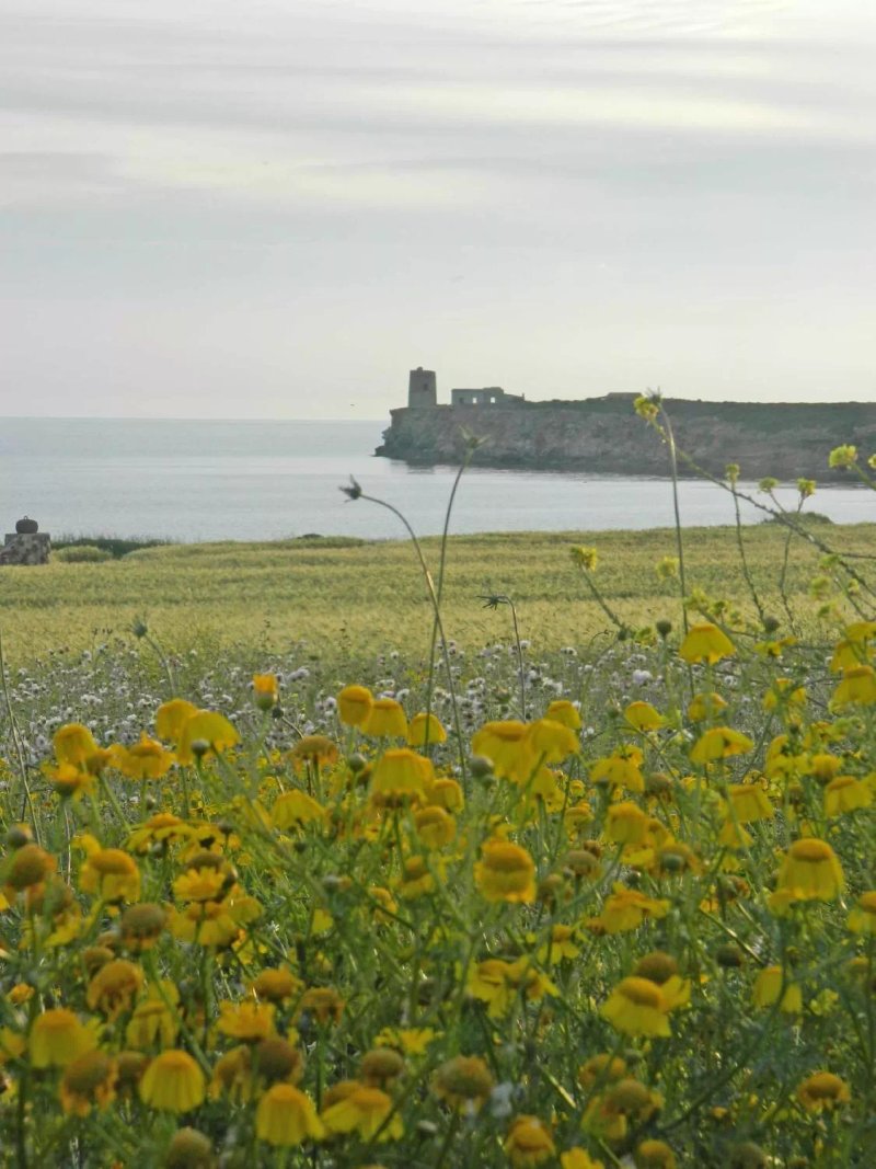 Agriturismo Ferrari