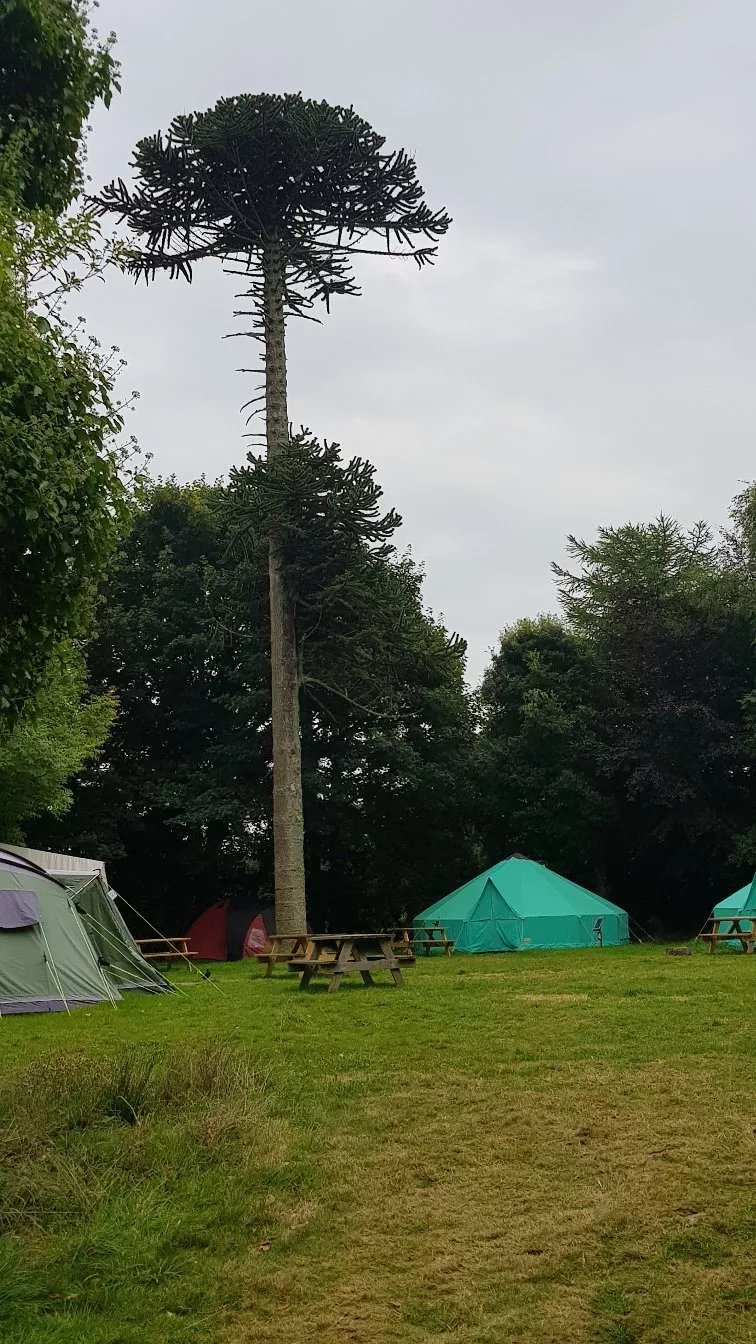 YHA Penzance