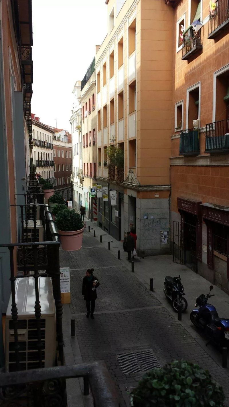 THC Latina Hostel