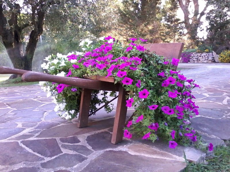 B&B Nuraghe Bianco