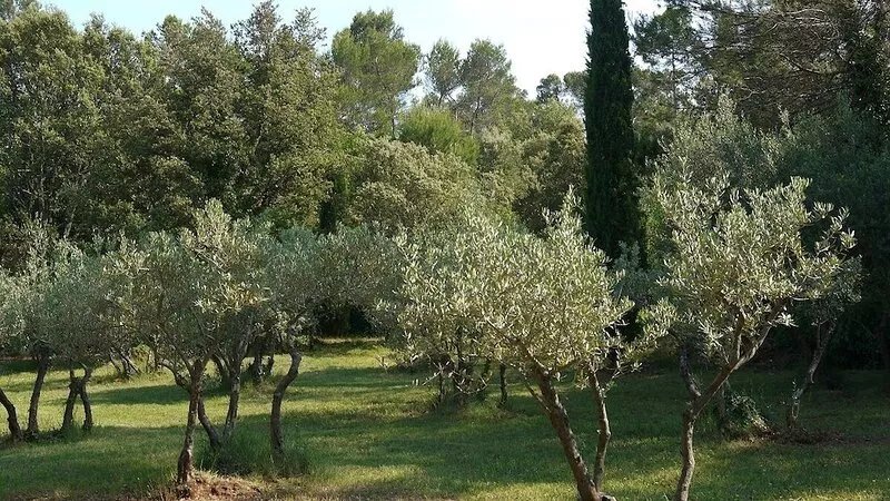Quiet house surrounded by nature ideal for family and relax