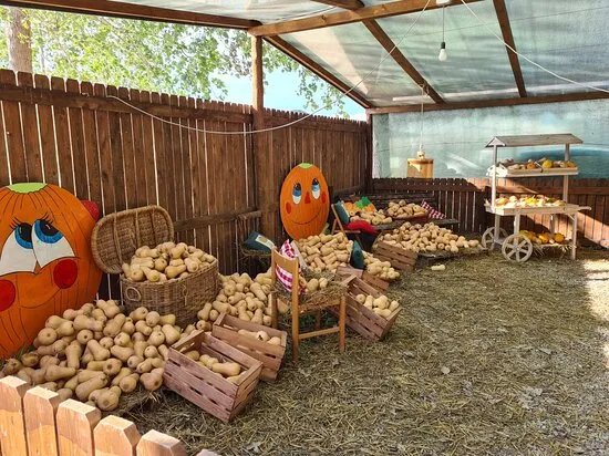 Oasi Vivinatura Lagosele