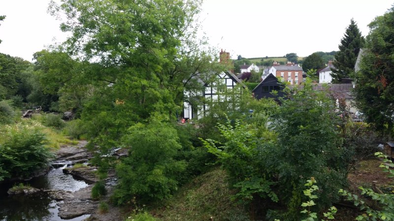 The Lion Hotel