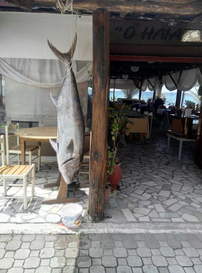 Taverna Ilias