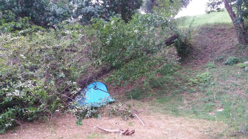 Camping Las Arenas