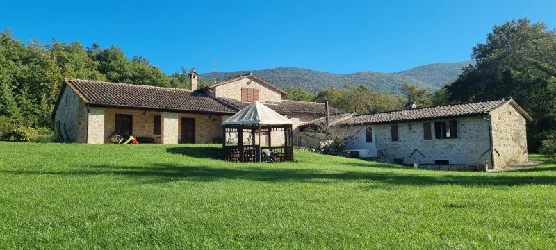 Il Vignale