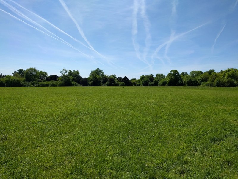 Abbotstone Wood Camping
