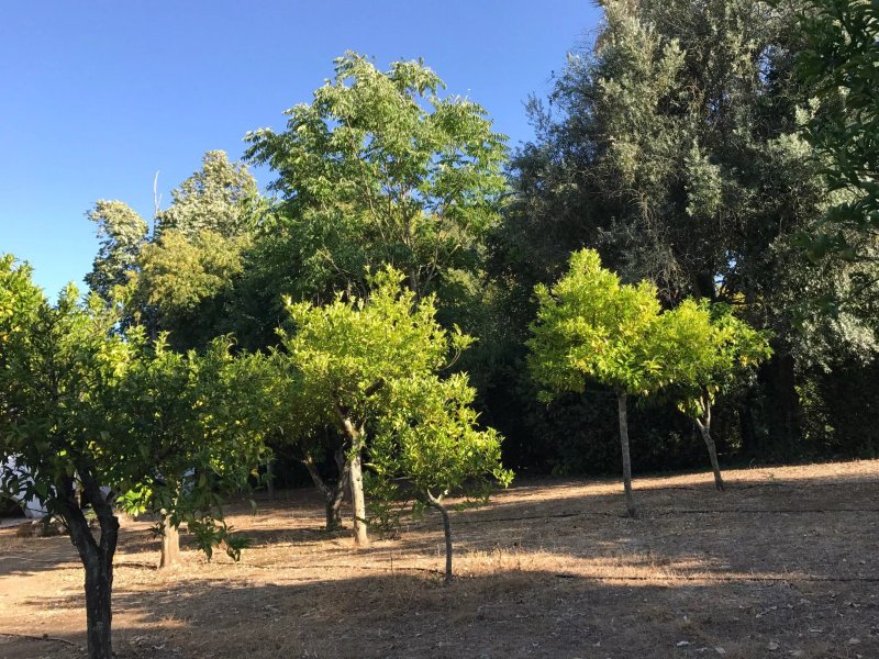 Quinta do Valle