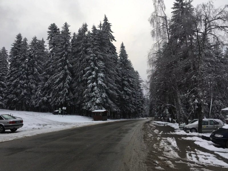 PM Services Borovets Garden Apartments