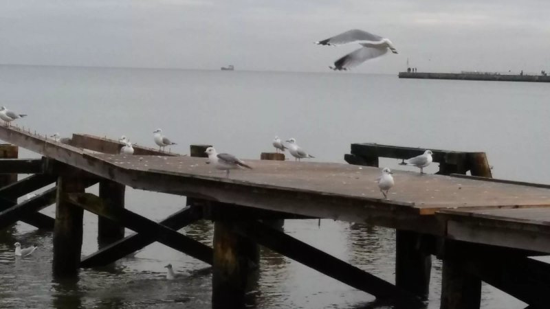 Hotel Aqua Sopot Family & Friends