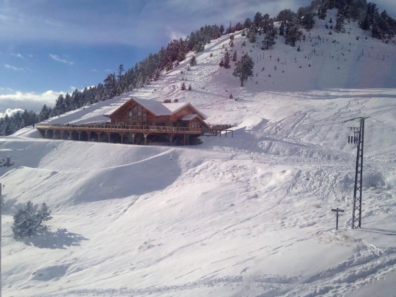 Luge Monty Express