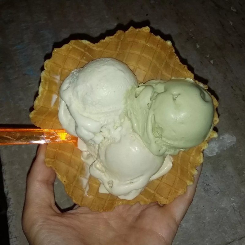 Papavera