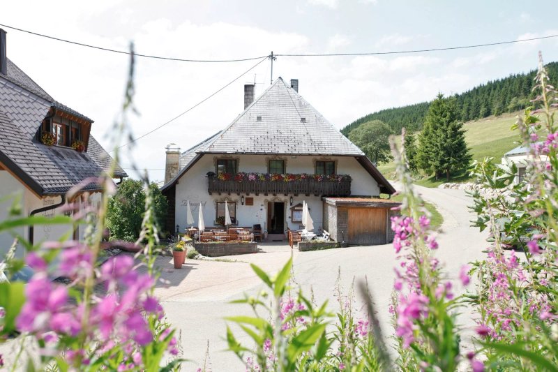 Zaehringer Hof