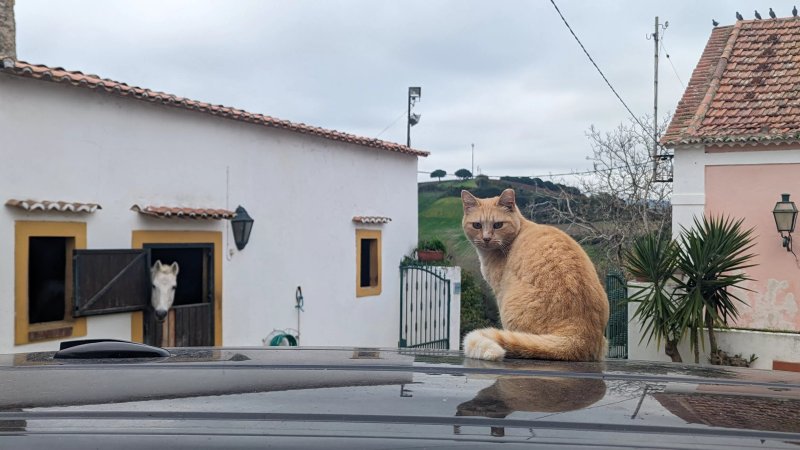 Quinta Do Banco