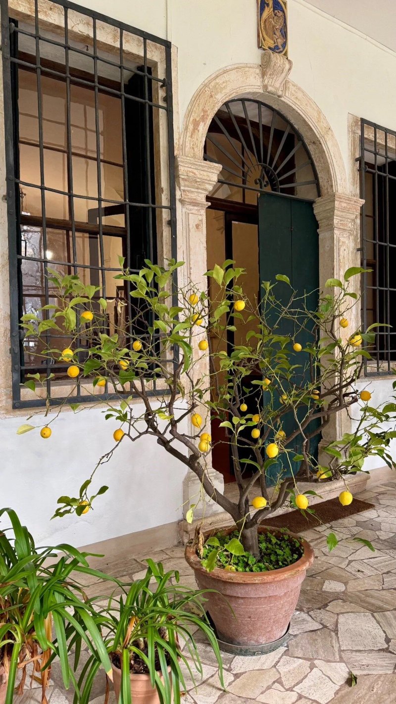 B&B Dal Vicere