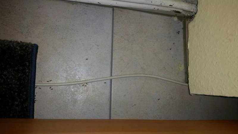 Hotel Buthman im Zentrum