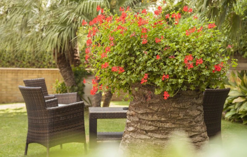 Residence Torre Del Mar