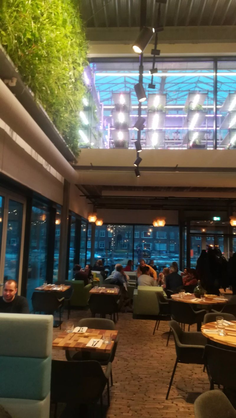 The Green House