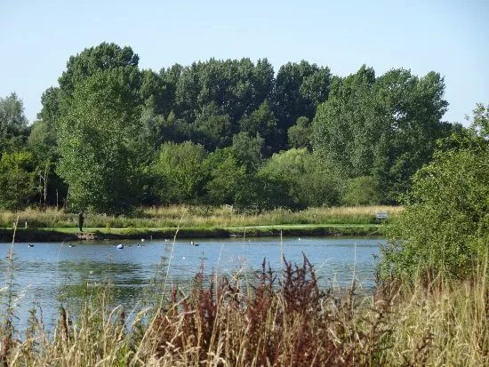 Nantwich Lake